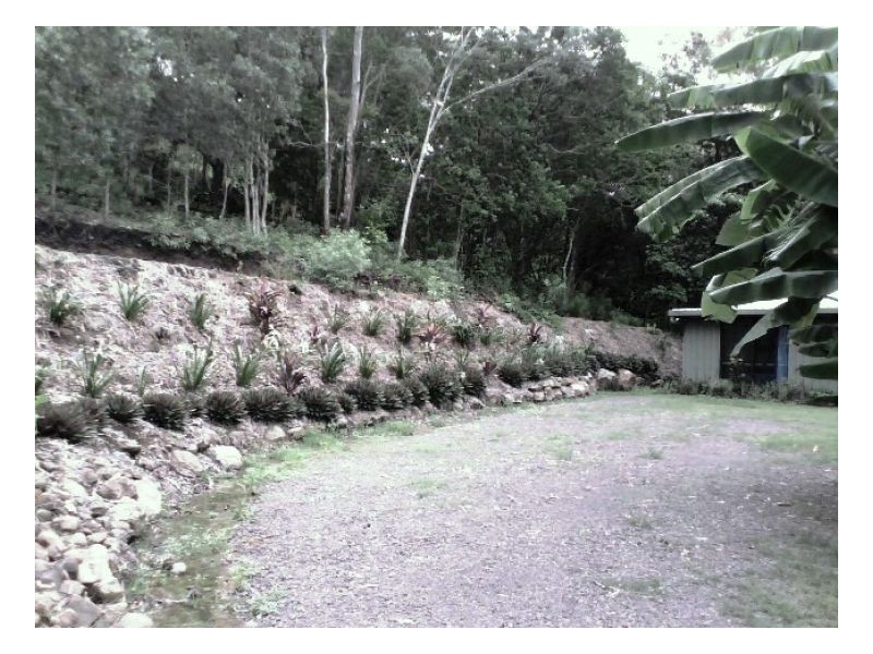 635 SALTWATER CREEK ROAD CONWAY, Palm Grove QLD 4800