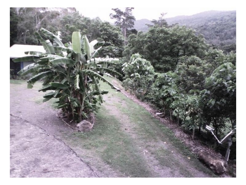 635 SALTWATER CREEK ROAD CONWAY, Palm Grove QLD 4800