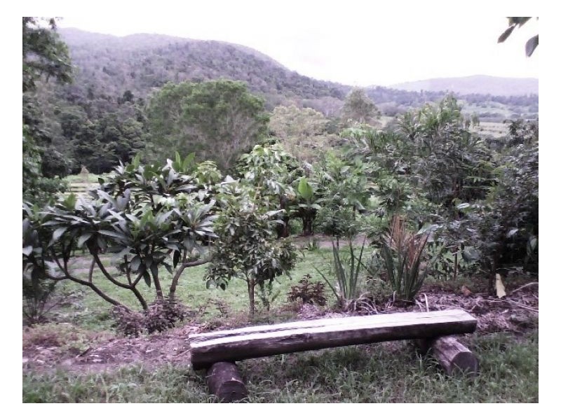 635 SALTWATER CREEK ROAD CONWAY, Palm Grove QLD 4800