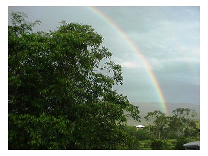 635 SALTWATER CREEK ROAD CONWAY, Palm Grove QLD 4800