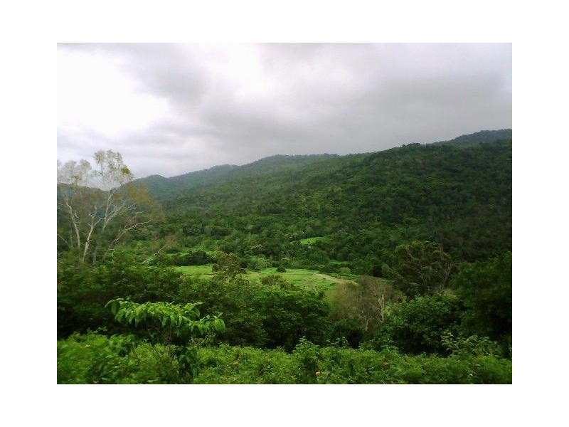 LOT 119  SALTWATER CREEK RD PALM GROVE, Whitsundays QLD 4802