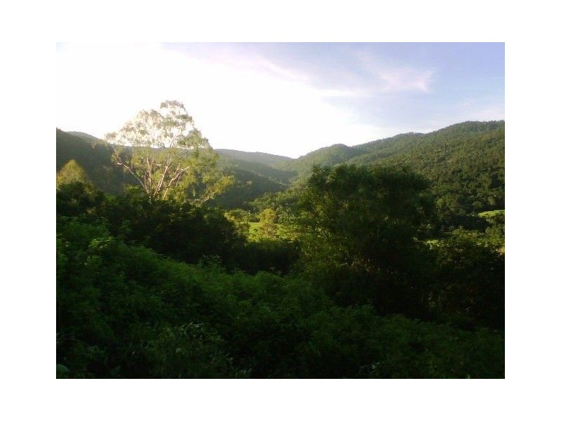 LOT 119  SALTWATER CREEK RD PALM GROVE, Whitsundays QLD 4802