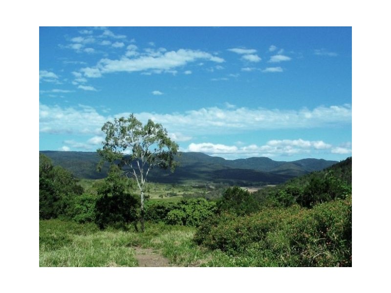 LOT 119  SALTWATER CREEK RD PALM GROVE, Whitsundays QLD 4802