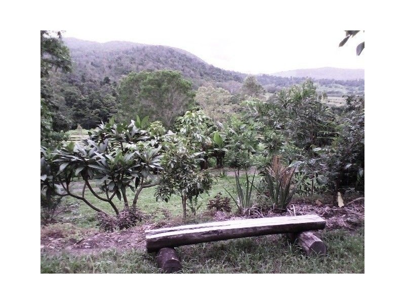 LOT 119  SALTWATER CREEK RD PALM GROVE, Whitsundays QLD 4802