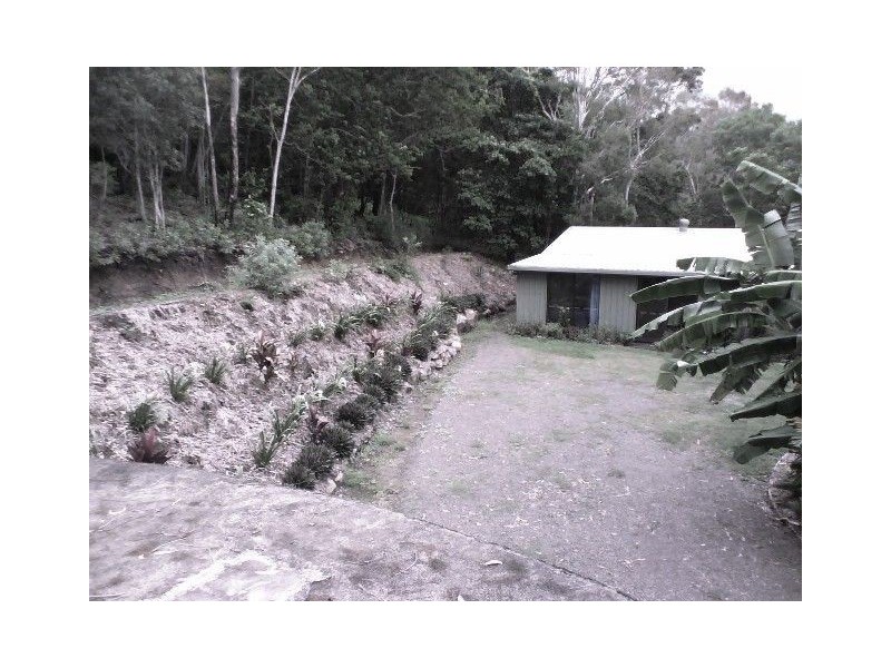 LOT 119  SALTWATER CREEK RD PALM GROVE, Whitsundays QLD 4802