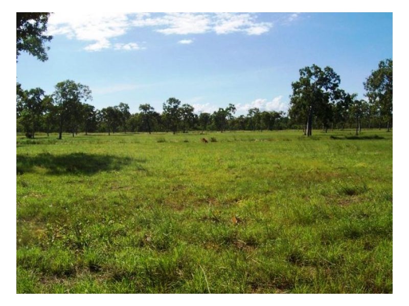 LOT 11 MIDGE POINT RD, Midge Point QLD 4799