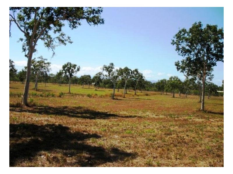 LOT 11 MIDGE POINT RD, Midge Point QLD 4799