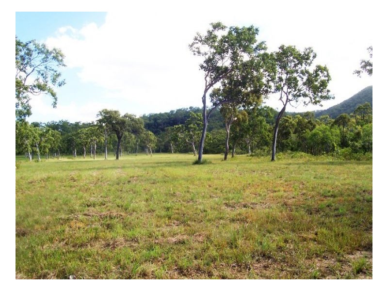 LOT 11 MIDGE POINT RD, Midge Point QLD 4799