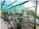 44 LELONA DR, Bloomsbury QLD 4799