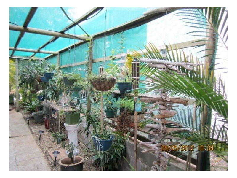 44 LELONA DR, Bloomsbury QLD 4799