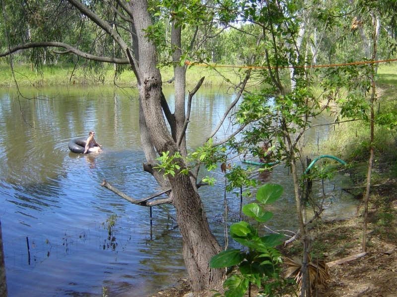 6 OFLYNN CRESCENT , Midge Point QLD 4799