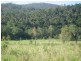 Lot 123 SALTWATER CREEK ROAD, Conway QLD 4800