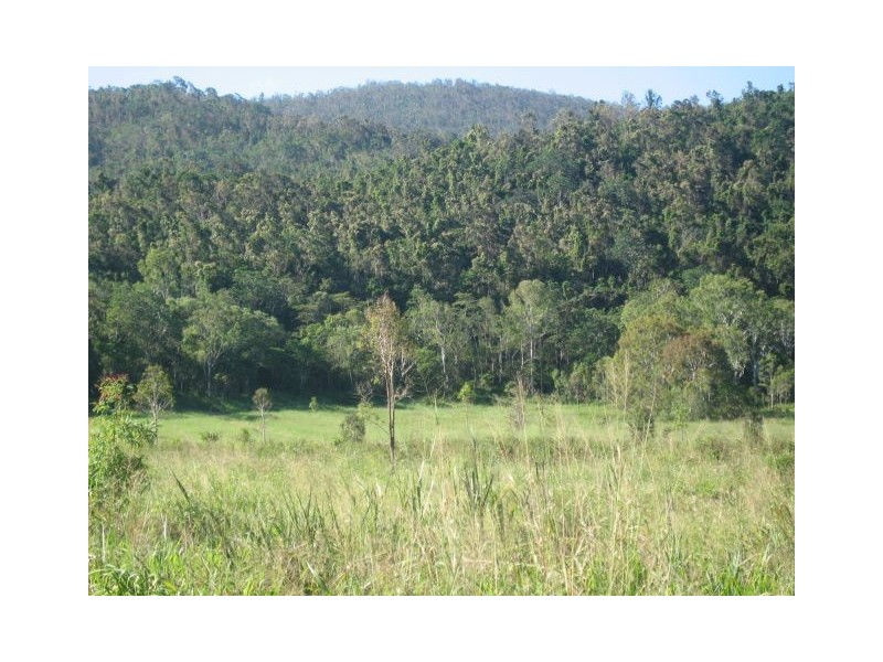 Lot 123 SALTWATER CREEK ROAD, Conway QLD 4800