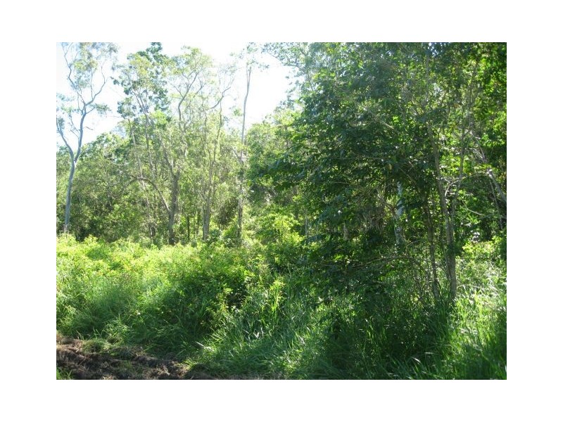 Lot 123 SALTWATER CREEK ROAD, Conway QLD 4800
