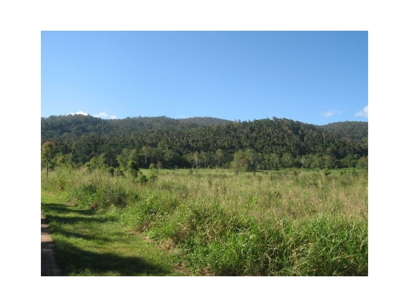 Lot 123 SALTWATER CREEK ROAD, Conway QLD 4800