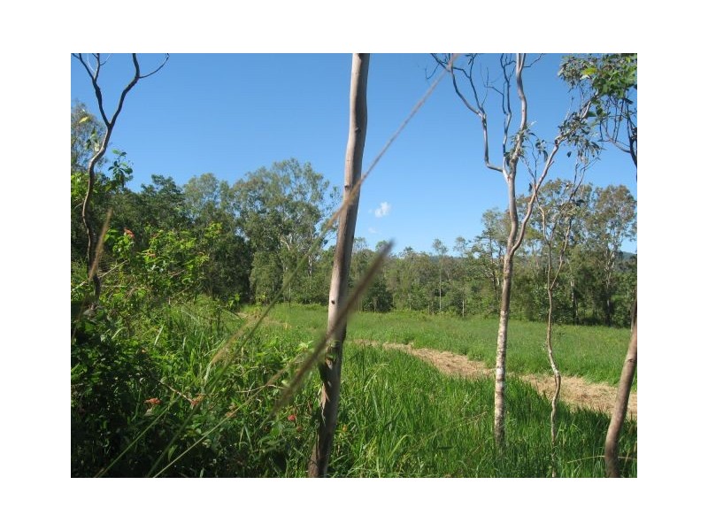 Lot 123 SALTWATER CREEK ROAD, Conway QLD 4800