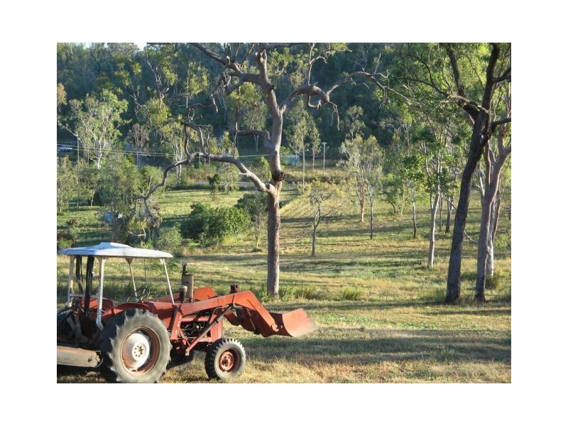LOT 115 LELONA DRIVE BLOOMSBURY 4799, Whitsundays QLD 4802
