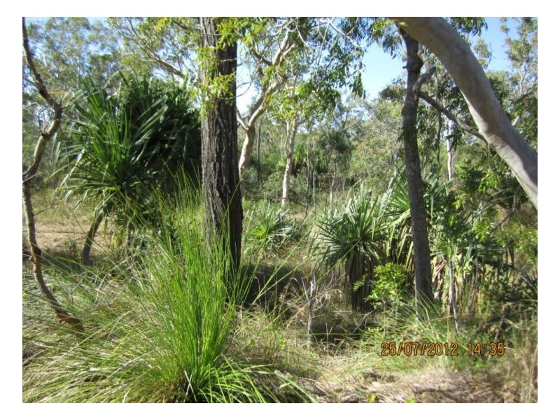 LOT 31 O’FLYNN CRESCENT, Midge Point QLD 4799