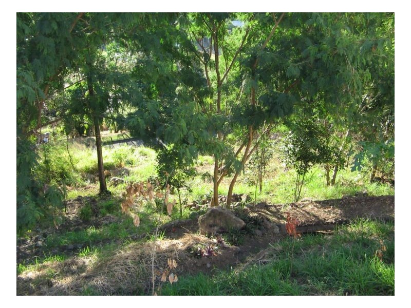 LOT 17 RAINTREE PLACE, Airlie Beach QLD 4802