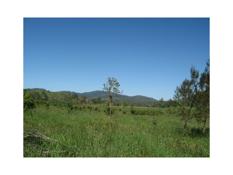 578 SALTWATER CREEK ROAD, Palm Grove QLD 4800