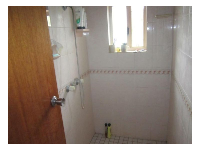 1199 MIDGE POINT RD, Midge Point QLD 4799