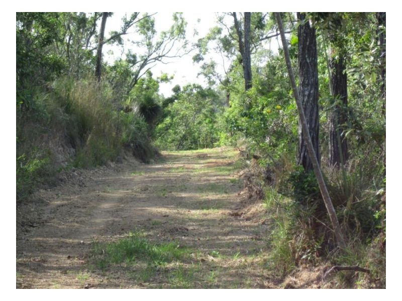 1199 MIDGE POINT RD, Midge Point QLD 4799