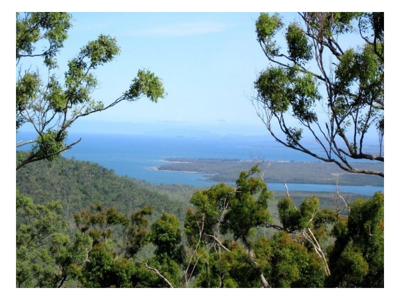 LOT 6 MIDGE POINT ROAD, Midge Point QLD 4799