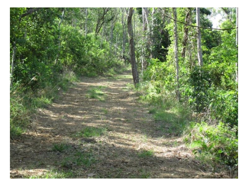 LOT 6 MIDGE POINT ROAD, Midge Point QLD 4799