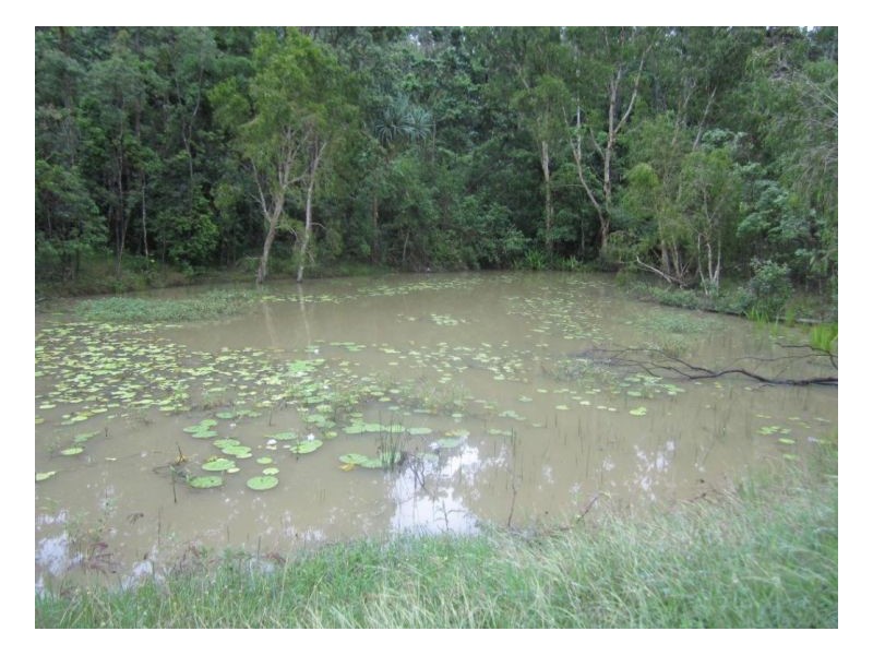 LOT 6 MIDGE POINT ROAD, Midge Point QLD 4799