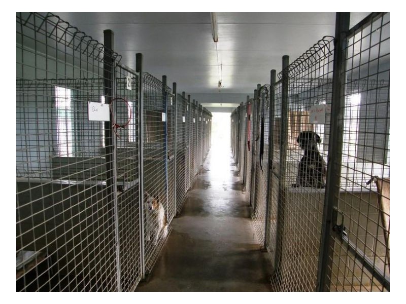 915 SHUTE HARBOUR ROAD, Mount Marlow QLD 4800