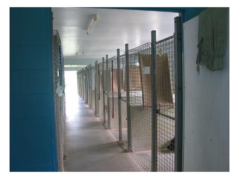 915 SHUTE HARBOUR ROAD, Mount Marlow QLD 4800