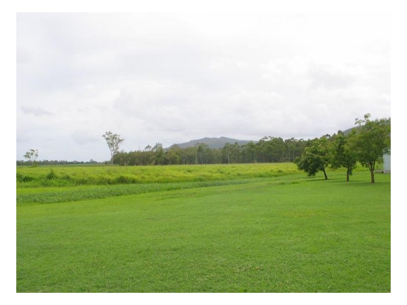 915 SHUTE HARBOUR ROAD, Mount Marlow QLD 4800