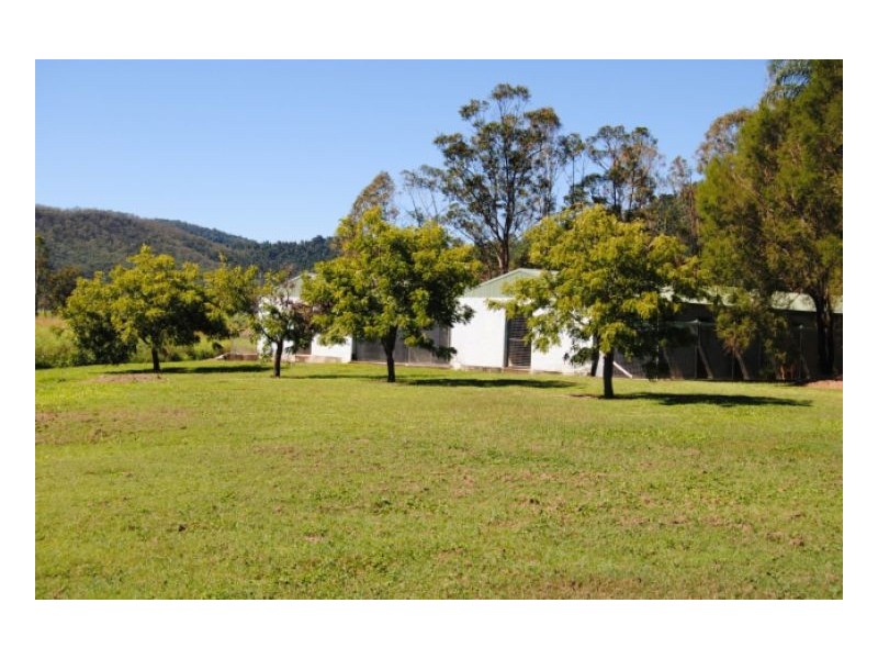 915 SHUTE HARBOUR ROAD, Mount Marlow QLD 4800