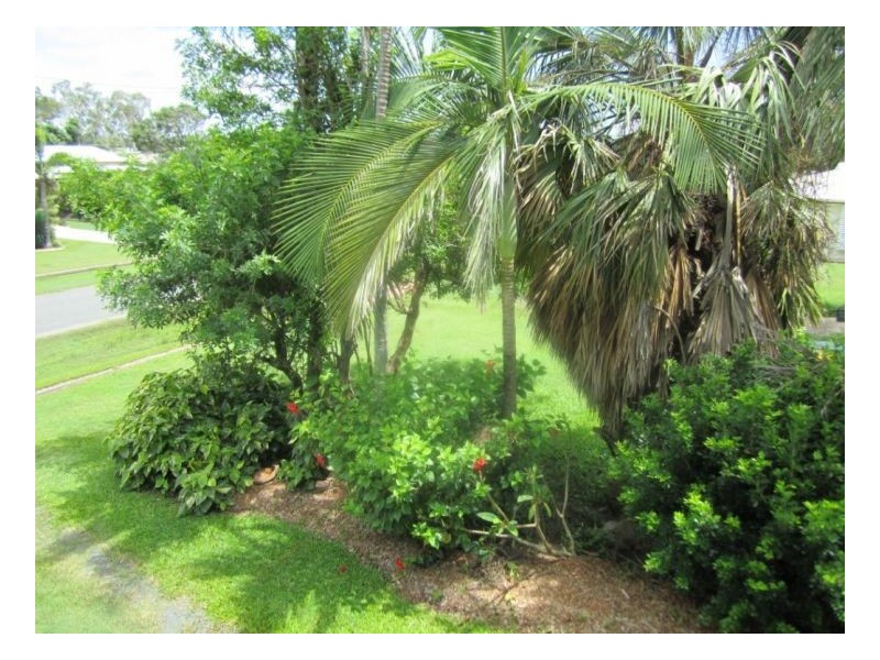 LOT 9 PETERS AVE, Midge Point QLD 4799