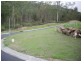 26 RIDGEVIEW DRIVE, Cannonvale QLD 4802