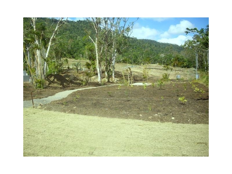 26 RIDGEVIEW DRIVE, Cannonvale QLD 4802