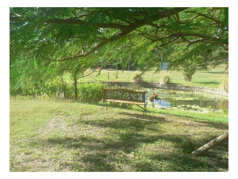15 LAWSON ST, Midge Point QLD 4799