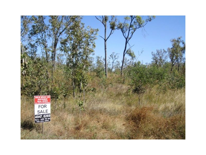 LOT 12 LELONA DRIVE, Bloomsbury QLD 4799