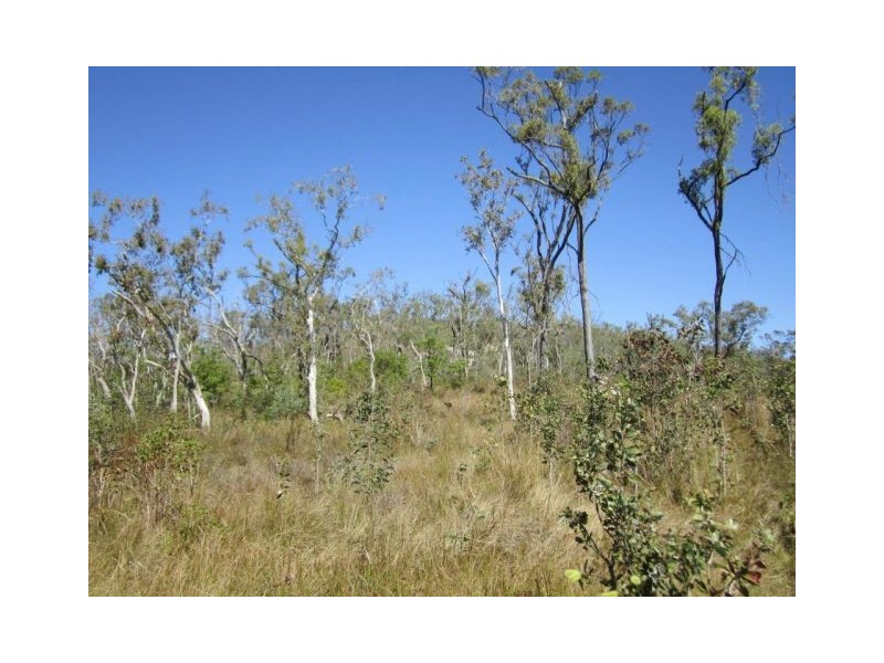 LOT 12 LELONA DRIVE, Bloomsbury QLD 4799