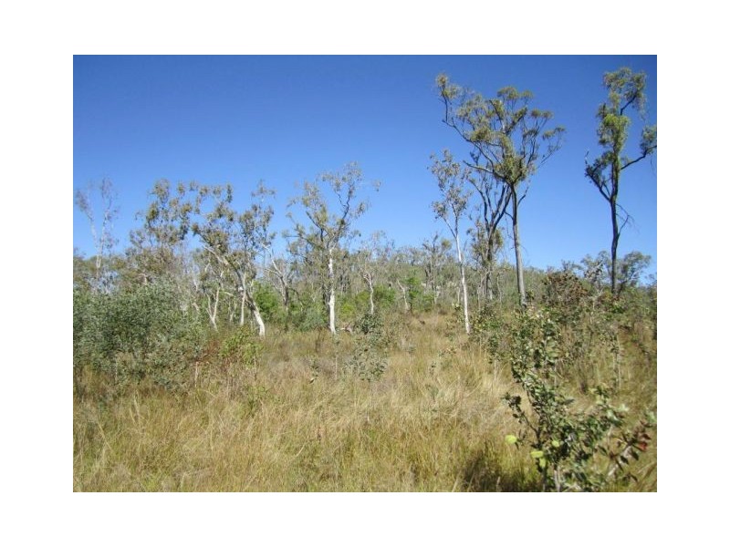 LOT 12 LELONA DRIVE, Bloomsbury QLD 4799