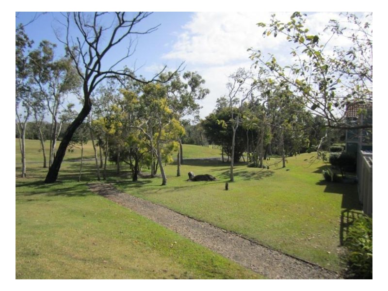 UNIT 1310 CLUB VILLAS, Laguna Quays QLD 4800