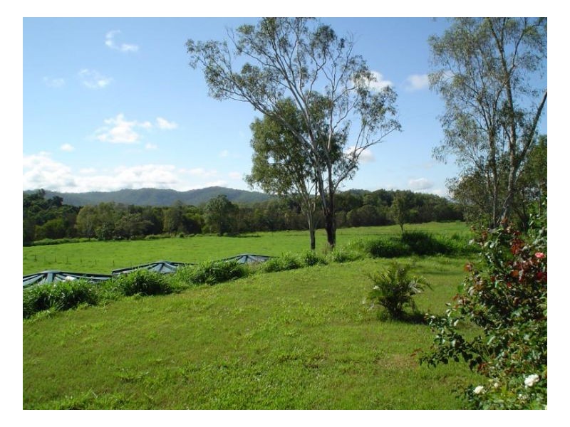 85 ELLIS ROAD, Bloomsbury QLD 4799