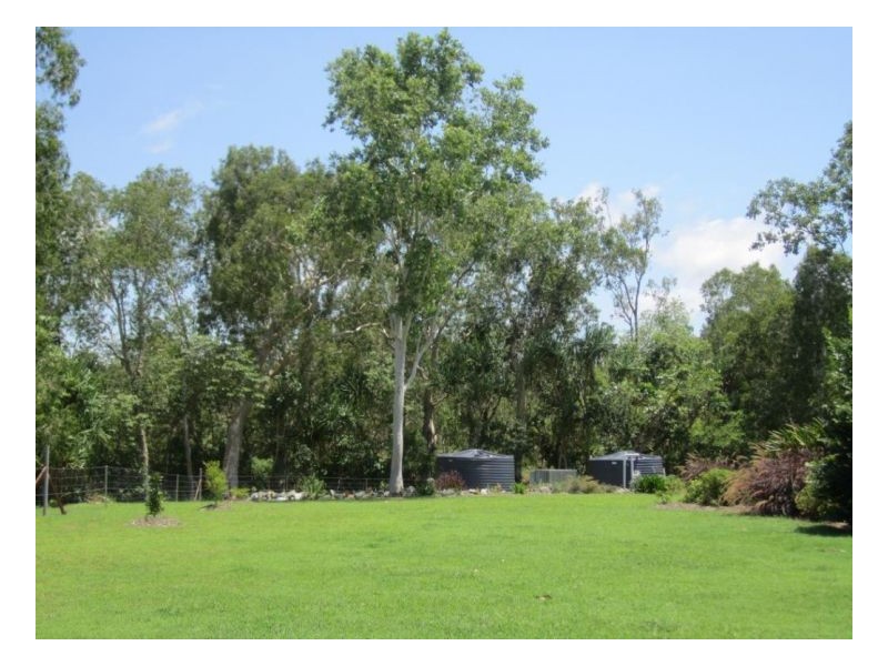 177 WHITSUNDAY DRIVE, Bloomsbury QLD 4799