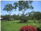 177 WHITSUNDAY DRIVE, Bloomsbury QLD 4799