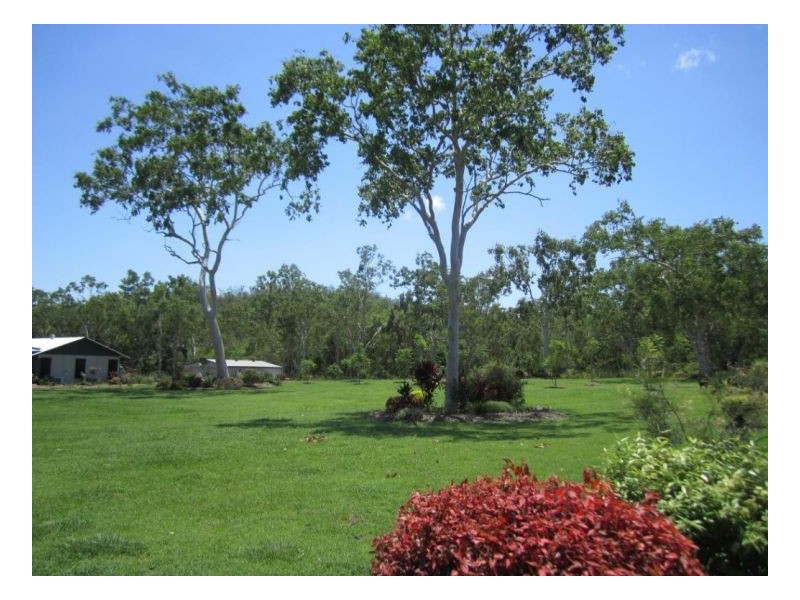 177 WHITSUNDAY DRIVE, Bloomsbury QLD 4799