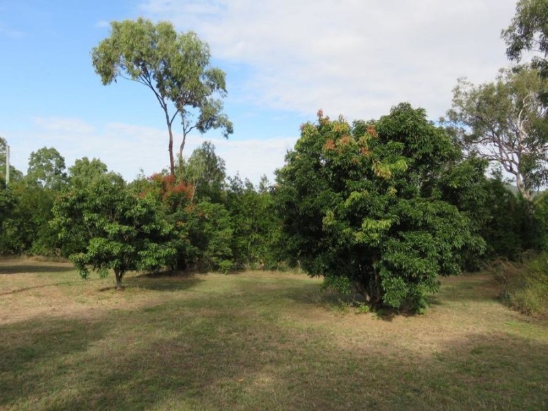 108 WHITSUNDAY DRIVE, Bloomsbury QLD 4799