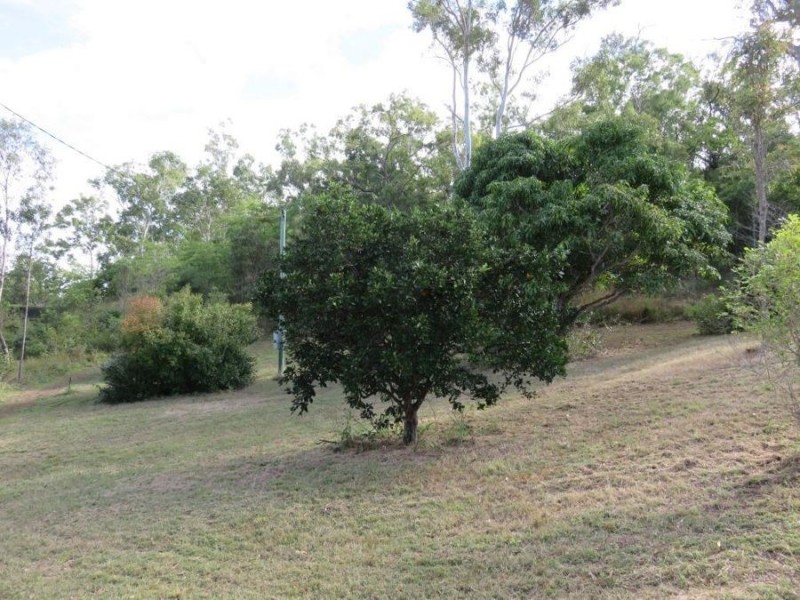 108 WHITSUNDAY DRIVE, Bloomsbury QLD 4799