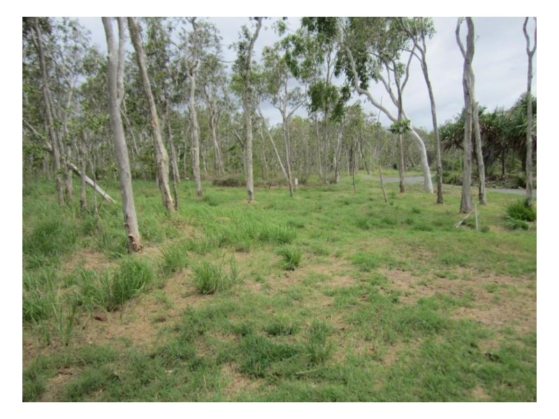 LOT 16 KUNAPIPI SPRINGS ROAD, Laguna Quays QLD 4800