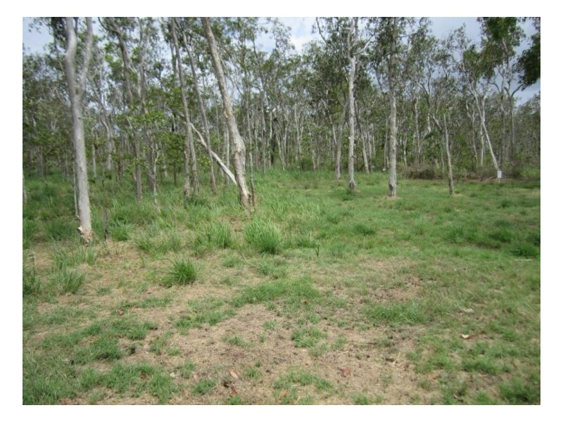 LOT 16 KUNAPIPI SPRINGS ROAD, Laguna Quays QLD 4800