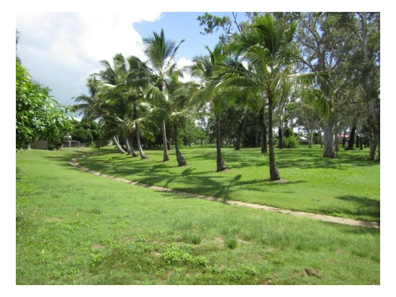 13 MCLEOD STREET, Midge Point QLD 4799